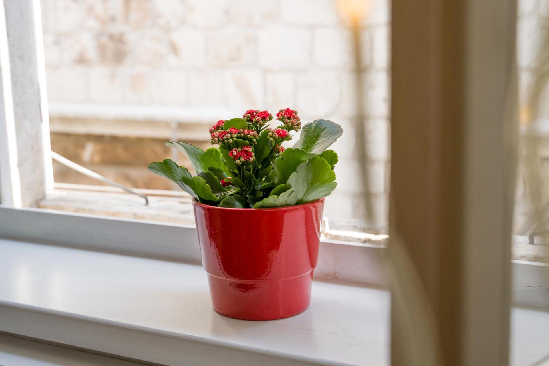 Nije Presa Apartment 2 Dubrovnik Kültér fotó